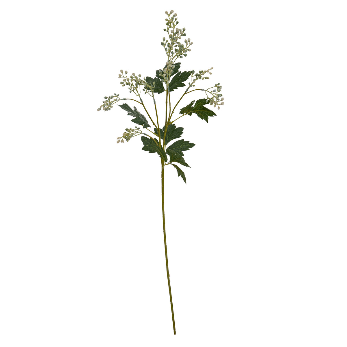 Milk Thistle Bud Spray - GREEN