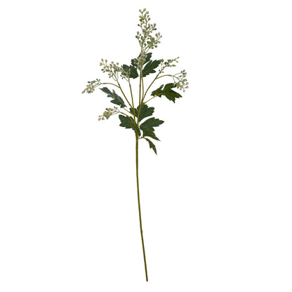 Milk Thistle Bud Spray - GREEN
