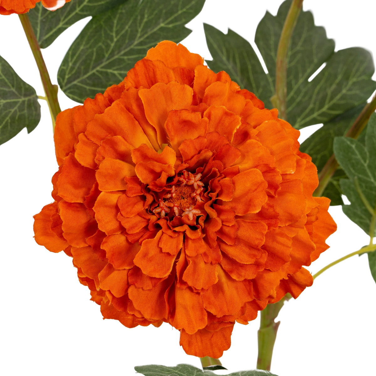 Orange African Marigold Large Spray - RED