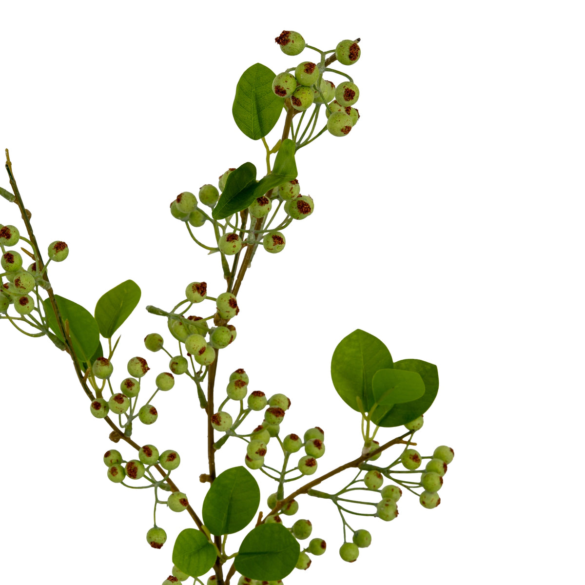 Green Mossberry Large Branch