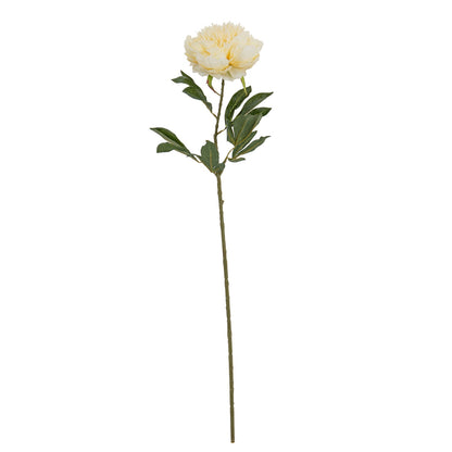 Large Buttermilk Double Peony Stem - CREAM