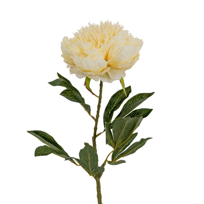 Large Buttermilk Double Peony Stem - CREAM