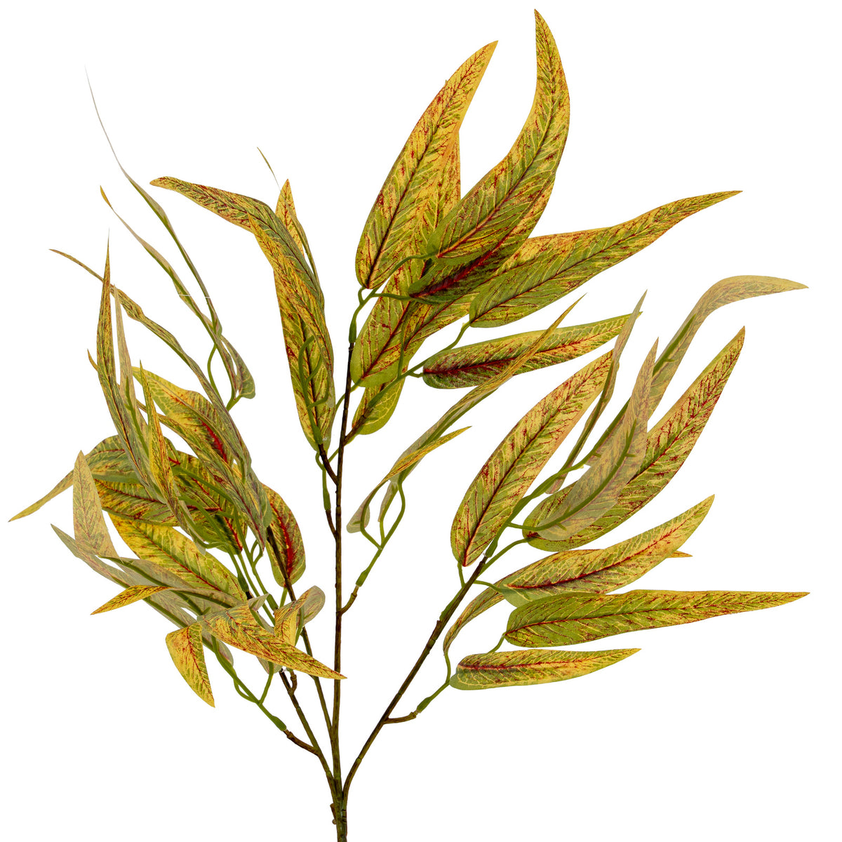 Variegated Long Leaf Eucalyptus Spray - GREEN