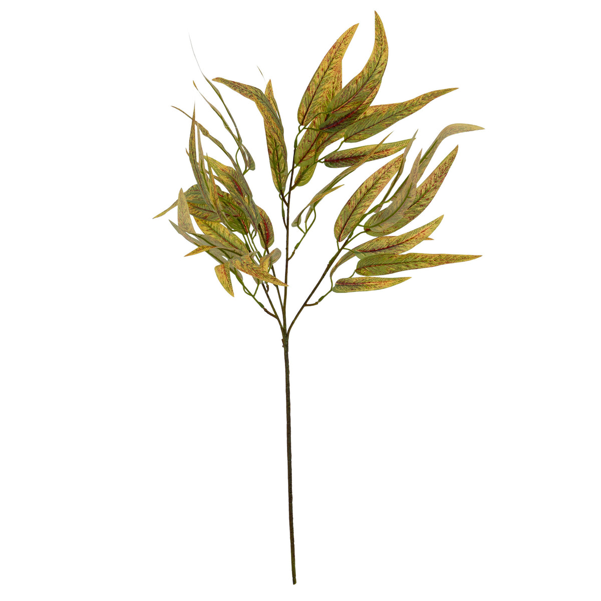 Variegated Long Leaf Eucalyptus Spray - GREEN