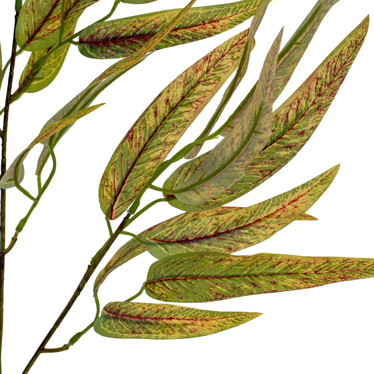 Variegated Long Leaf Eucalyptus Spray - GREEN