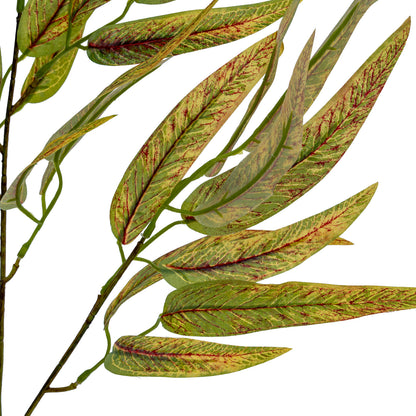 Variegated Long Leaf Eucalyptus Spray - GREEN