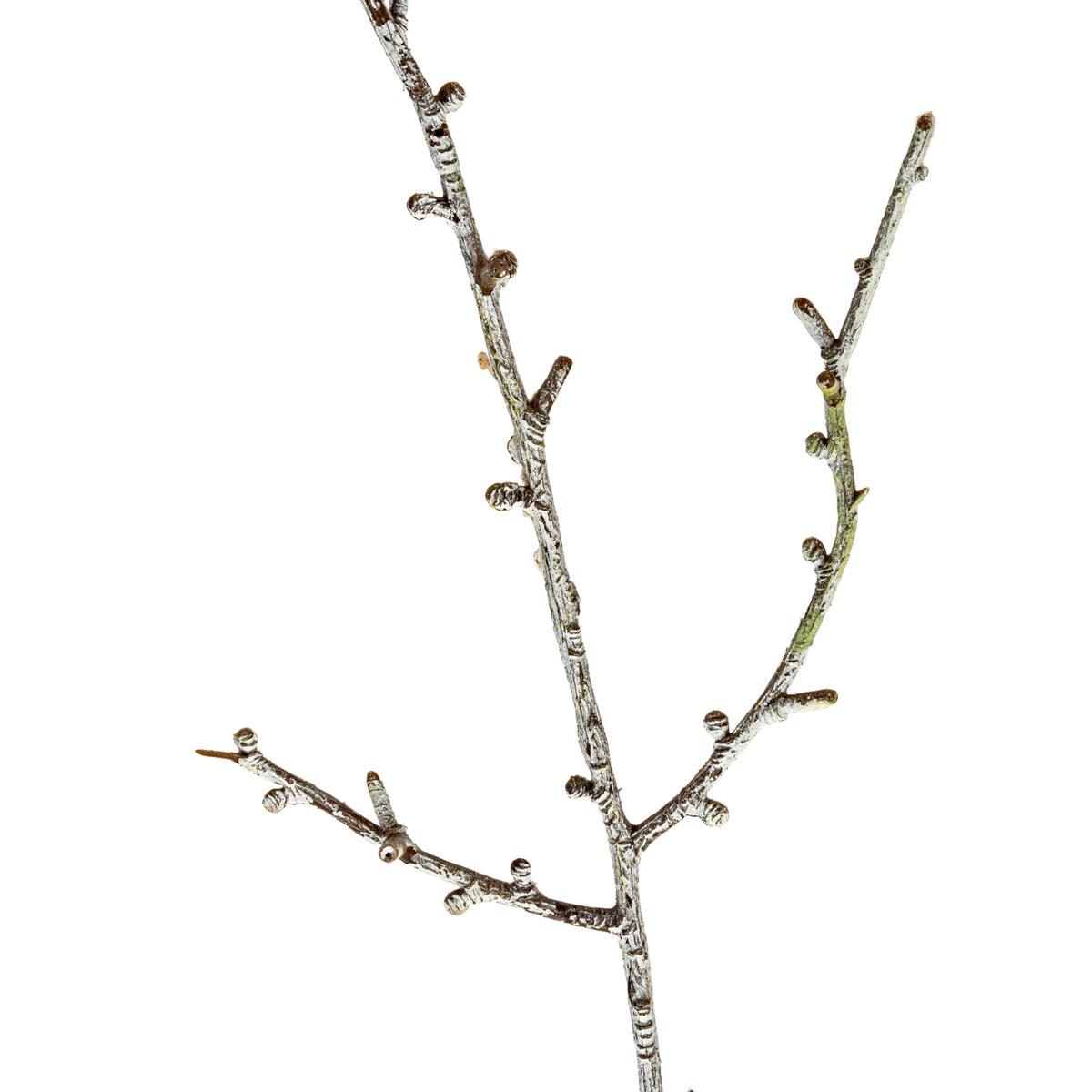 Snowy Winter Woodland Branch - WHITE