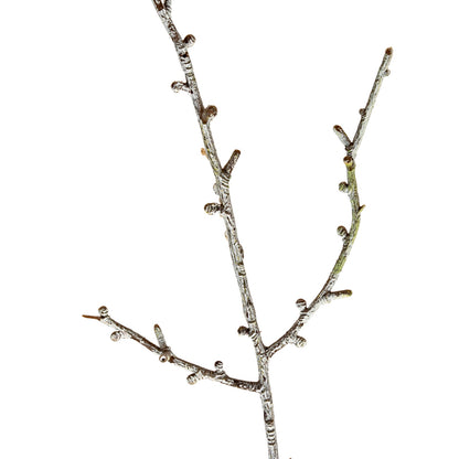 Snowy Winter Woodland Branch - WHITE