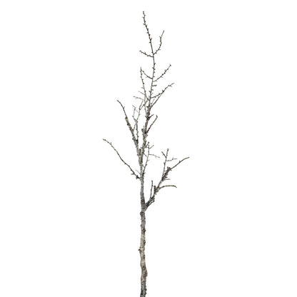 Snowy Winter Woodland Branch - WHITE