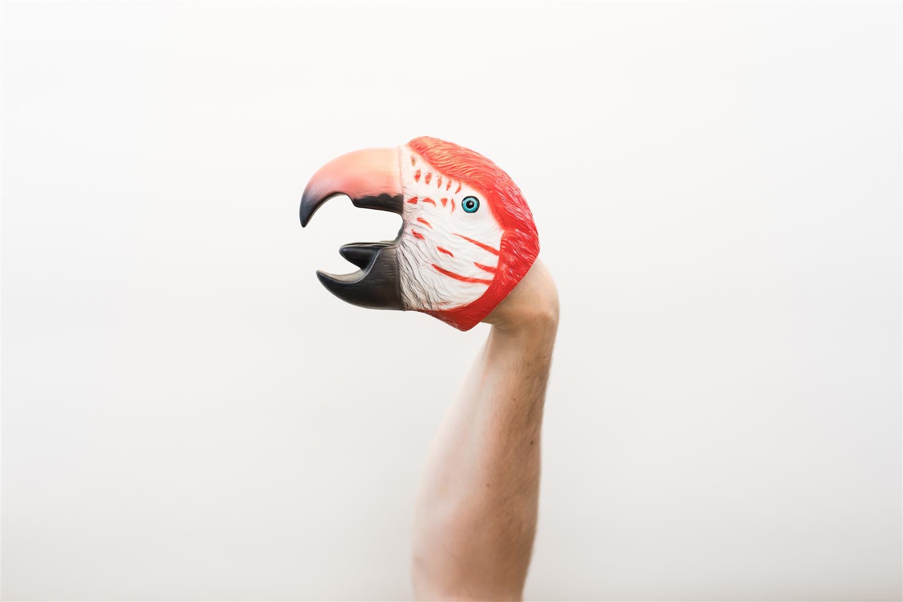Wild Thingz Hand Puppet - Red Macaw