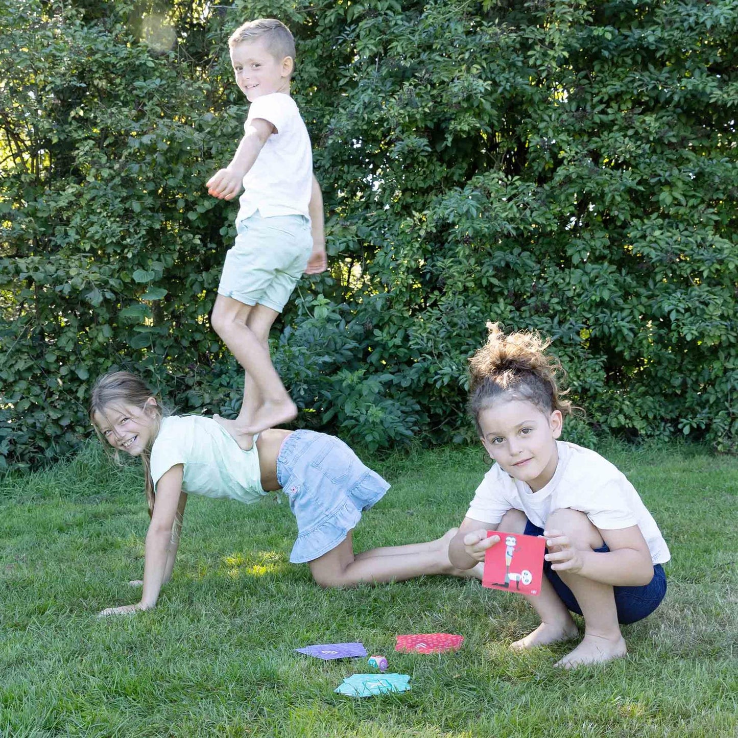 Acrobat animals