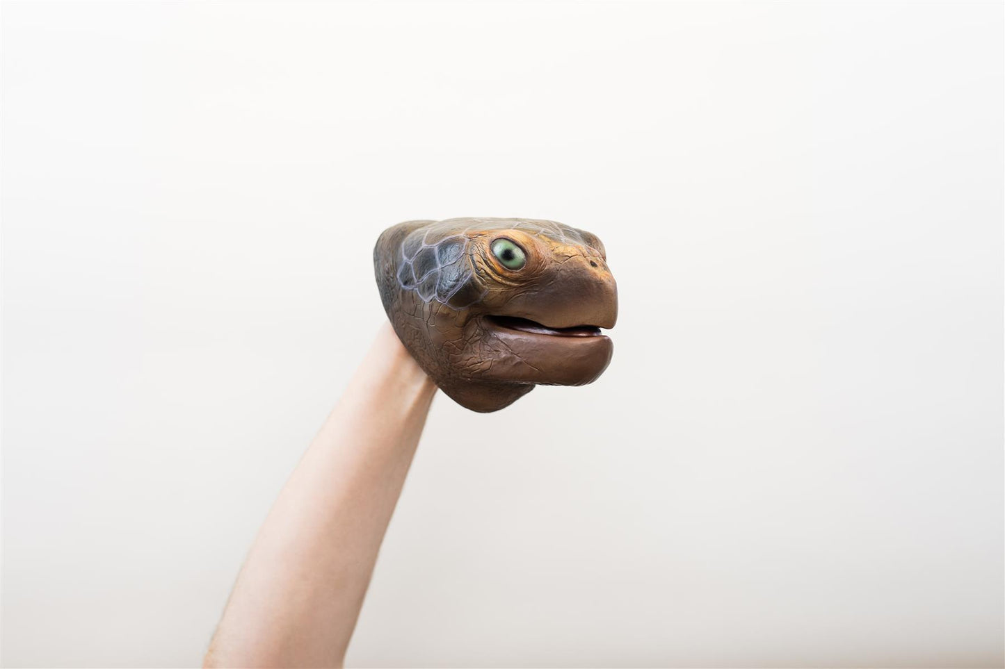 Wild Thingz Hand Puppet - Sea Turtle