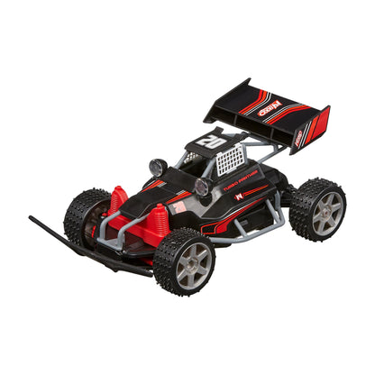 Race Buggies Night Panther*