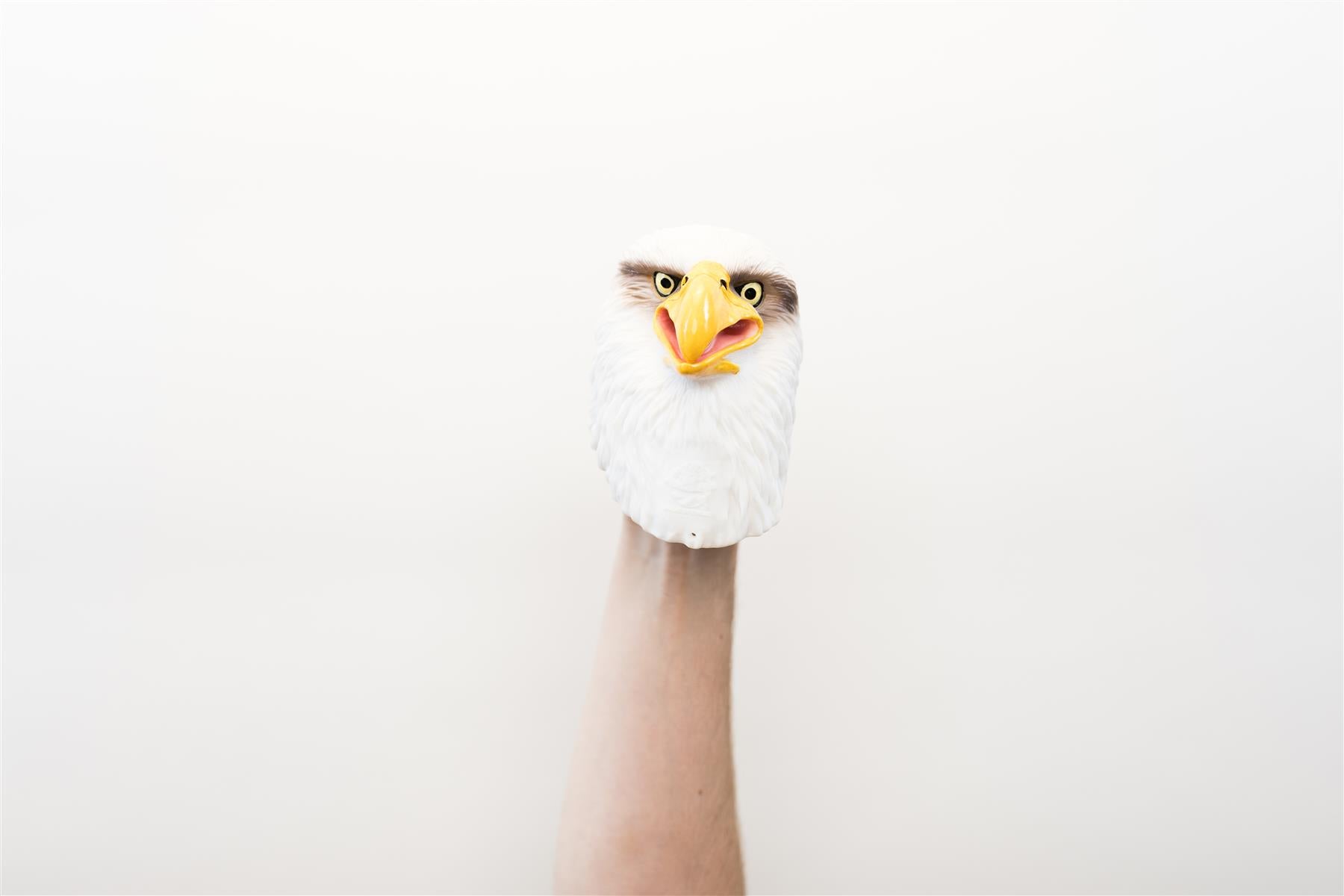 Wild Thingz Hand Puppet - White Eagle