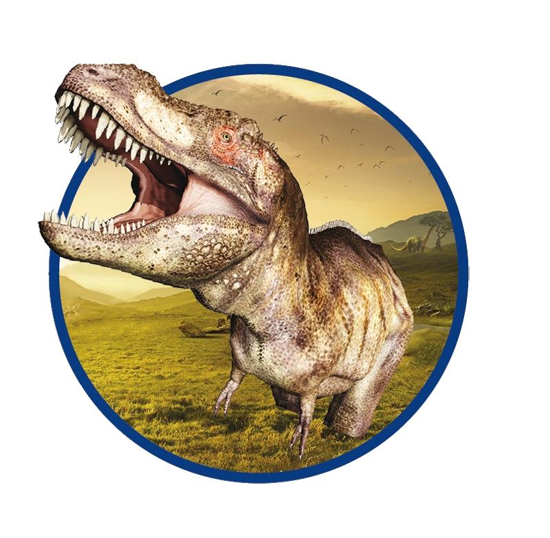 Excavate a T-rex skeleton