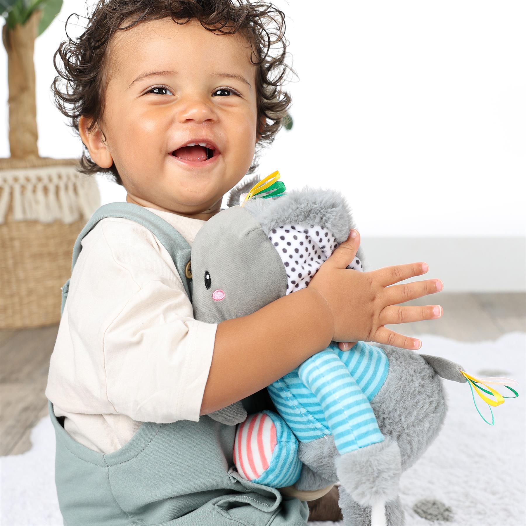 Olfi sensory elephant