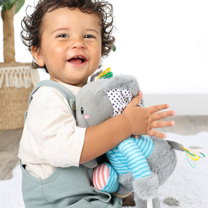 Olfi sensory elephant