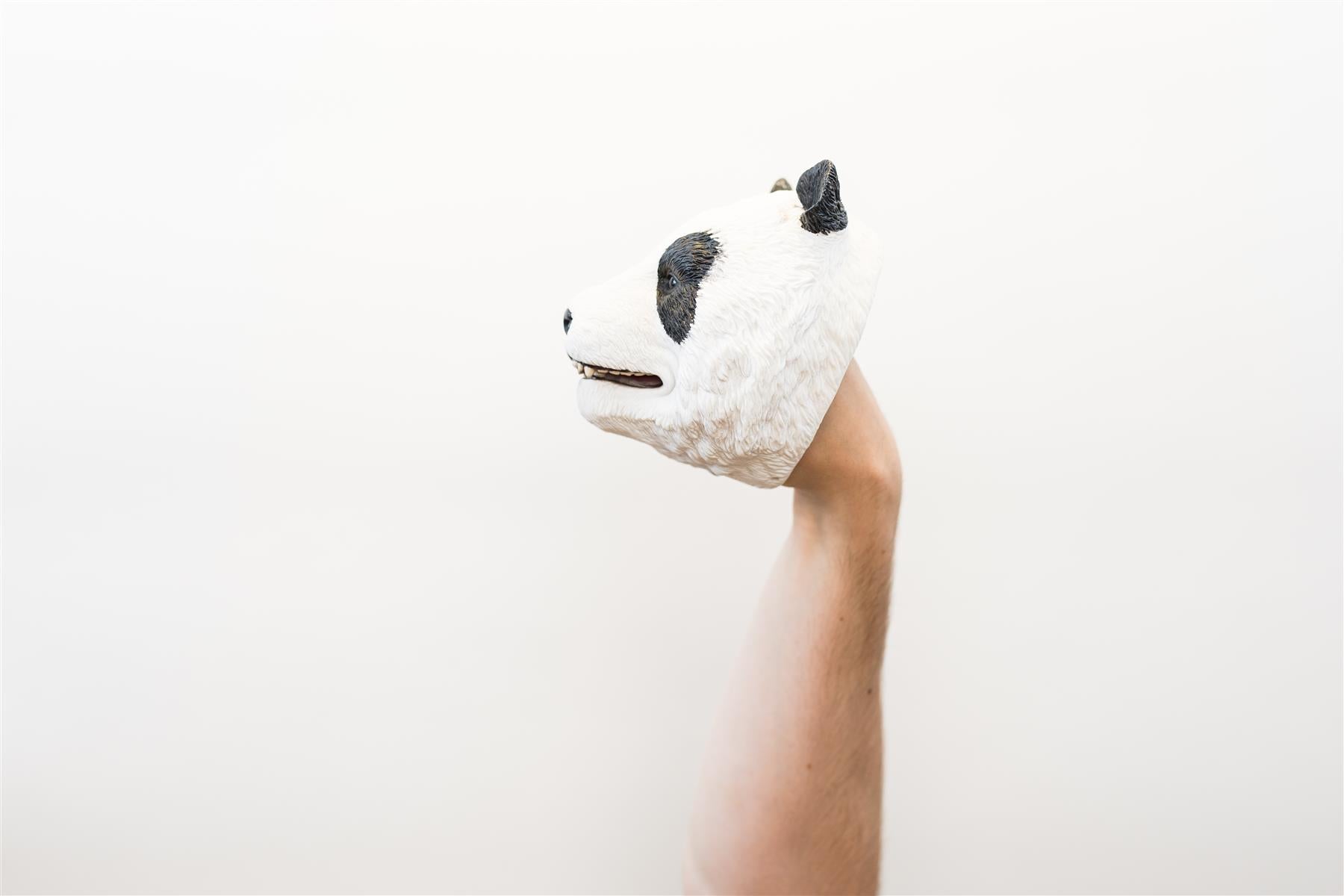 Wild Thingz Hand Puppet - Panda