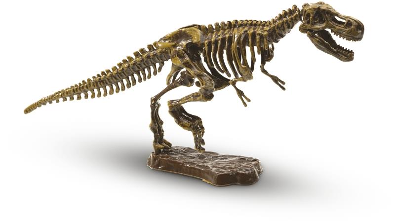 Excavate a T-rex skeleton