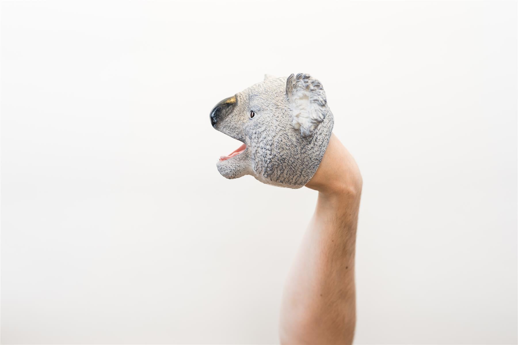 Wild Thingz Hand Puppet - Grey Koala