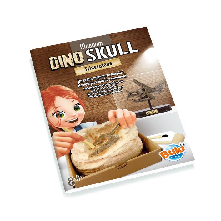 Dinosaur Skull - Triceratops