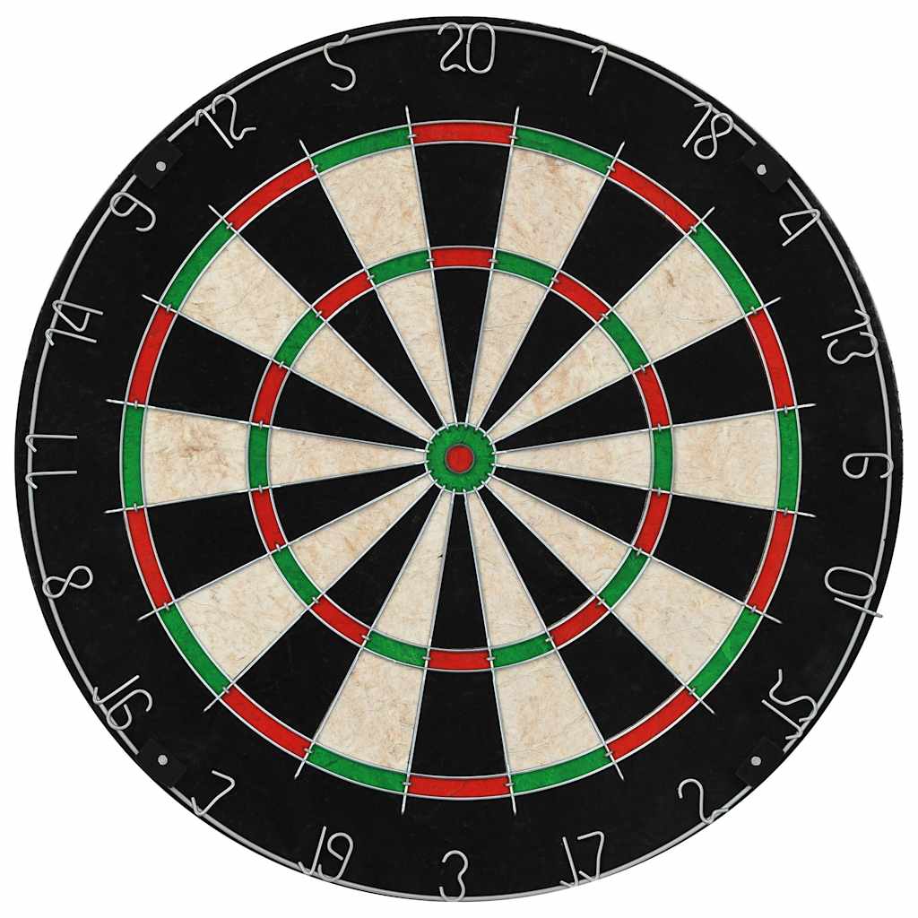 vidaXL Professional Dart Set with Dartboard Sisal Steel