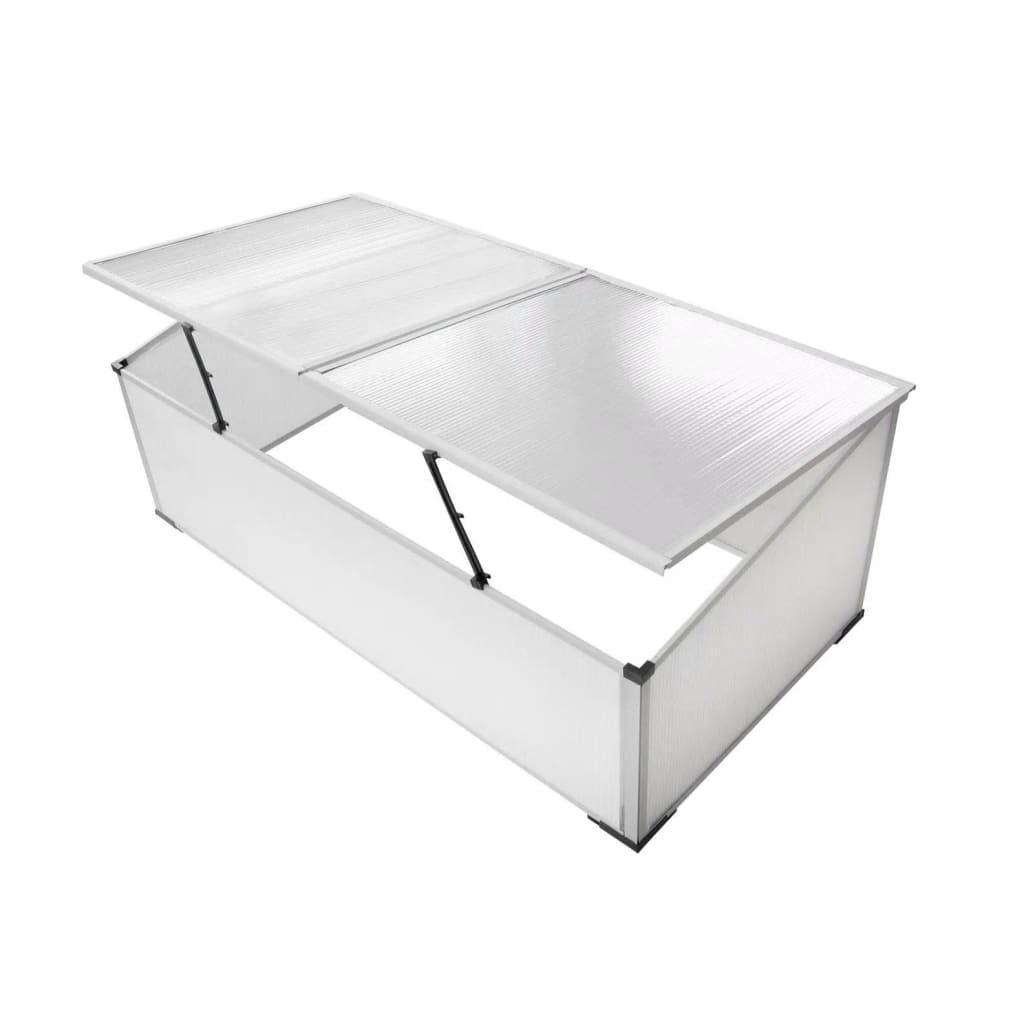 vidaXL Cold Frame 2 Lids 110x55x41 cm - Transparent - 109 x 41 x 56 cm