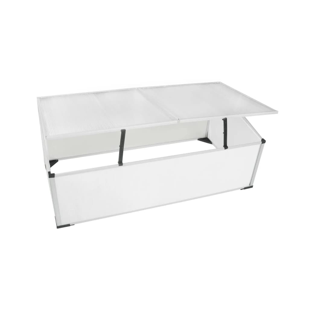 vidaXL Cold Frame 2 Lids 110x55x41 cm - Transparent - 109 x 41 x 56 cm