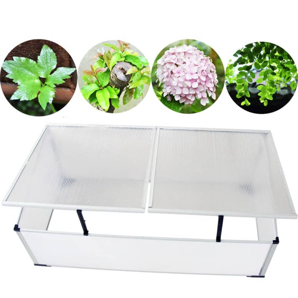 vidaXL Cold Frame 2 Lids 110x55x41 cm - Transparent - 109 x 41 x 56 cm