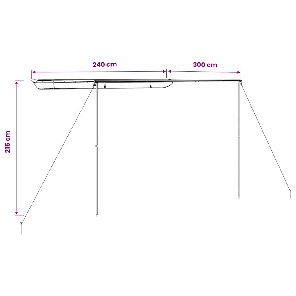 vidaXL Camper & Caravan Awning 2.4x3x2.15 m Beige - 2.4 x 3 x 2.15 m