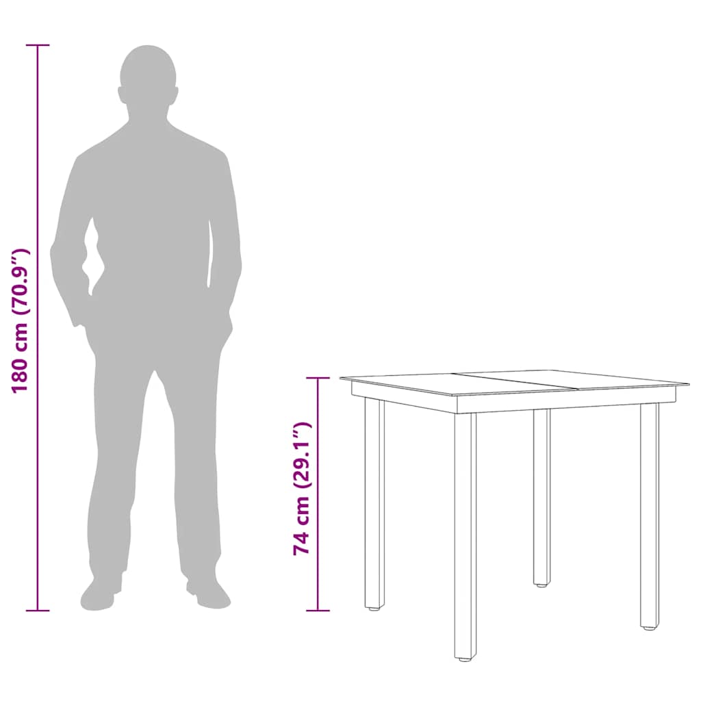 vidaXL Garden Dining Table Black 80x80x74 cm Steel and Glass - 24360