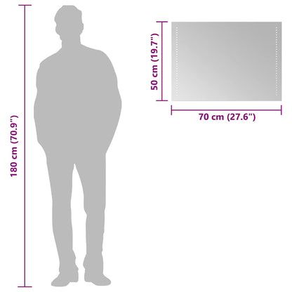 vidaXL LED Bathroom Mirror 70x50 cm - Transpart - 70 x 0.4 x 50 cm