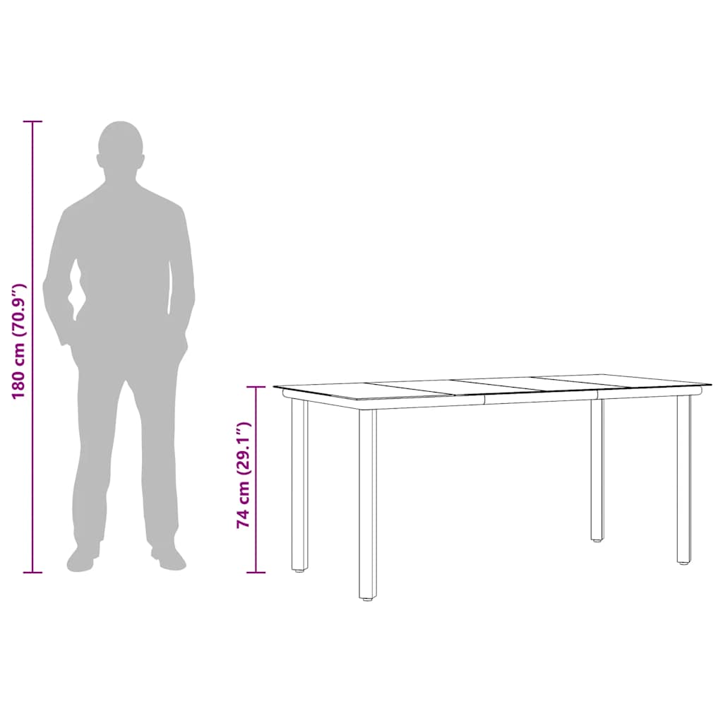vidaXL Garden Dining Table Black 160x80x74cm Steel and Tempered Glass - 160 x 80 x 74 cm - 24428