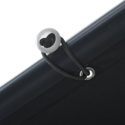 vidaXL Canopy Tent Anthracite 4x4 m Steel and Fabric
