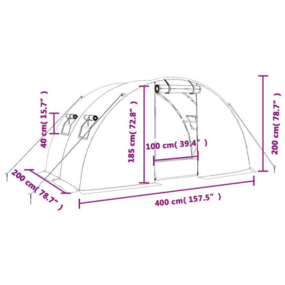 vidaXL Greenhouse with Steel Frame Green 8 m² 4x2x2 m - 4 x 2 x 2 m