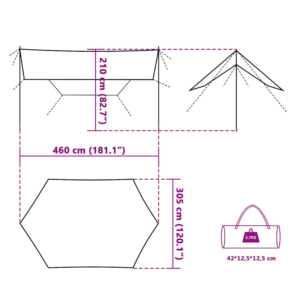 vidaXL Camping Tarp Blue 460x305x210 cm Waterproof