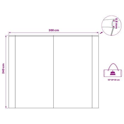 vidaXL Water Resistant Tarp -Person 240 x 300 cm Waterproof Blue