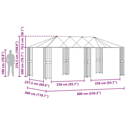 vidaXL Gazebo Frame Without Gazebo Fabric 6 x 3 m Black Steel