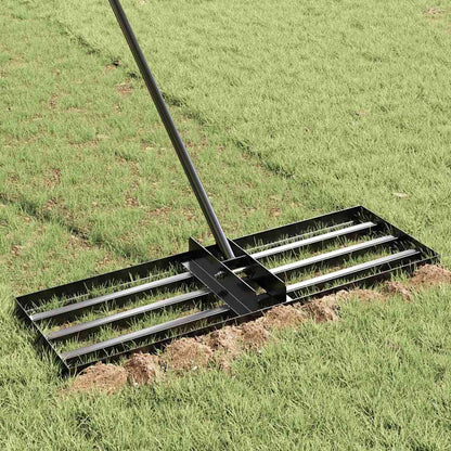 vidaXL Garden Leveling Rake Black 75 x 25 x 200 cm Powder-Coated Steel
