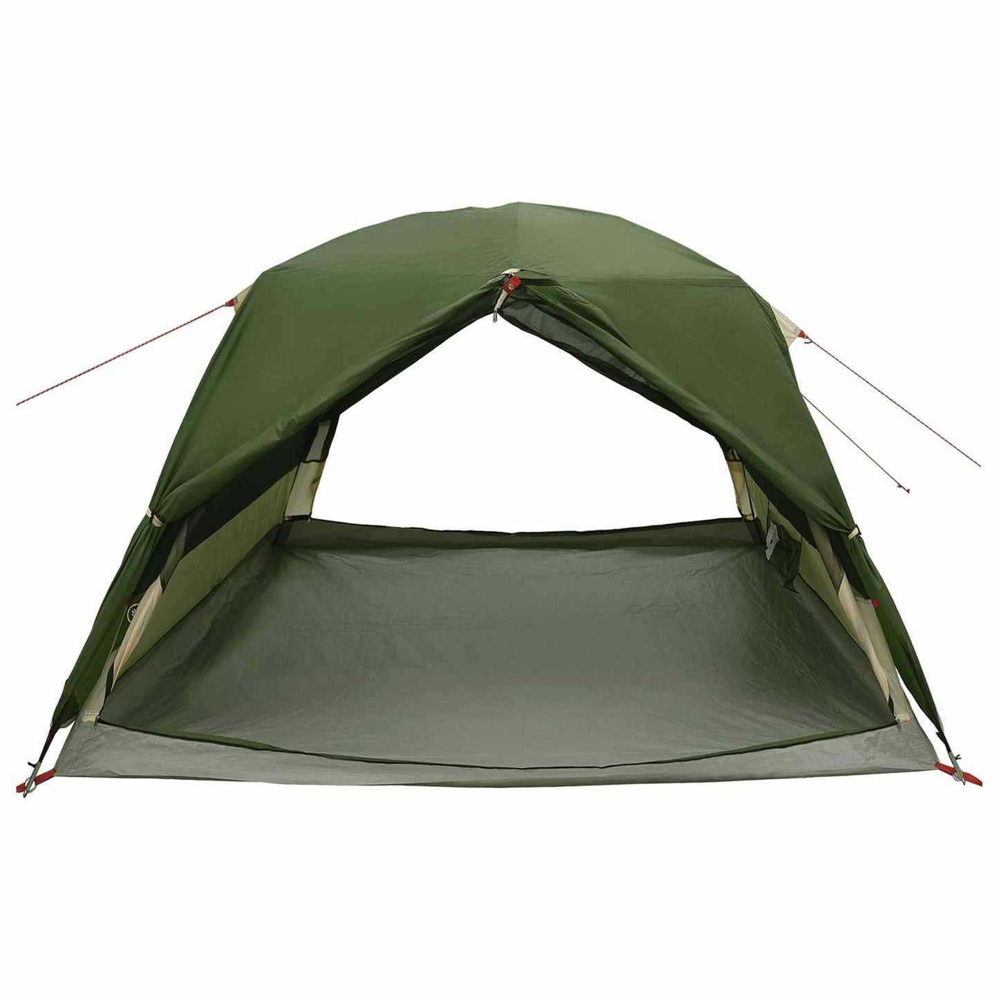 vidaXL Backpacking Tent 2-Person Green 185T Polyester with PU Coating