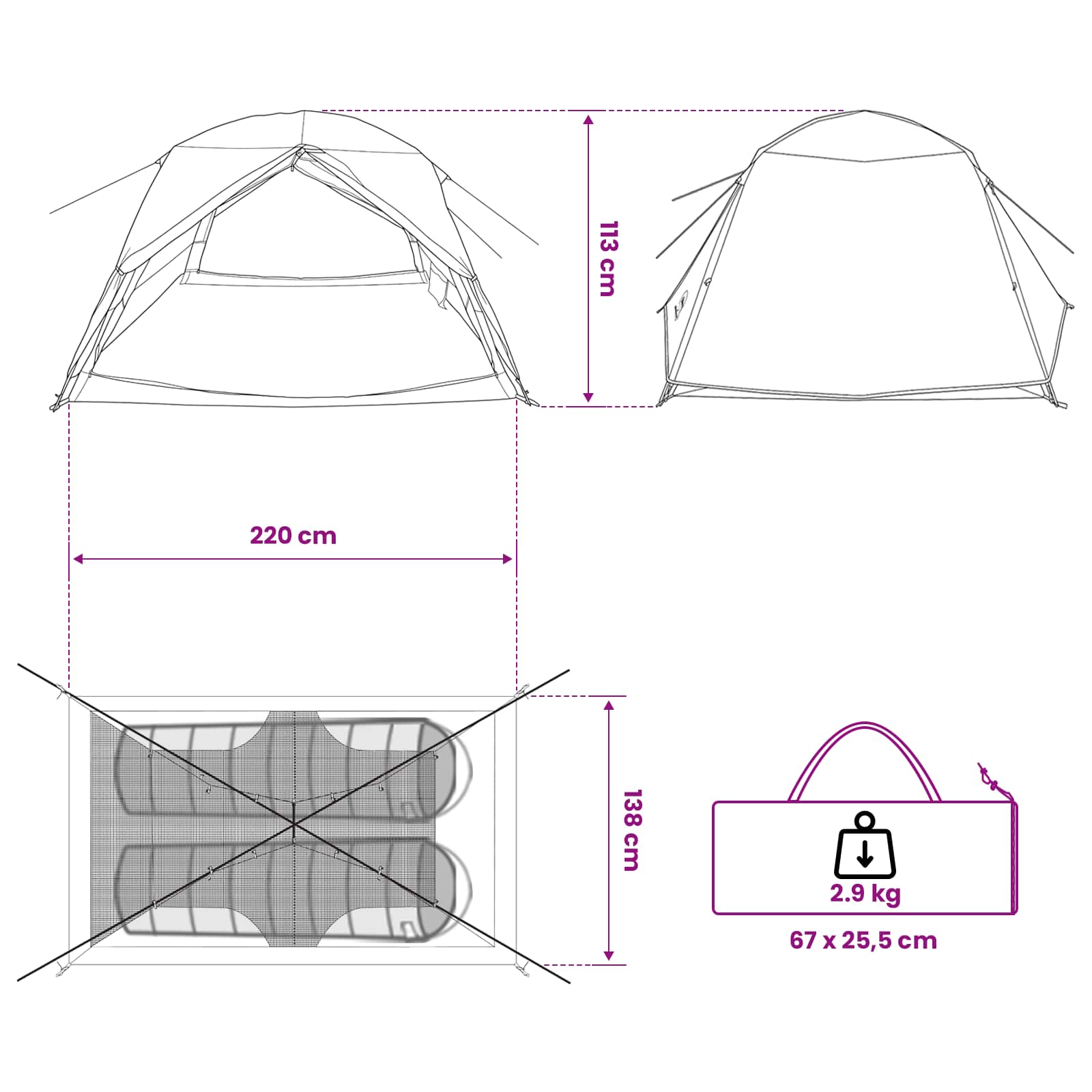 vidaXL Backpacking Tent 2-Person Blue 185T Polyester with PU Coating