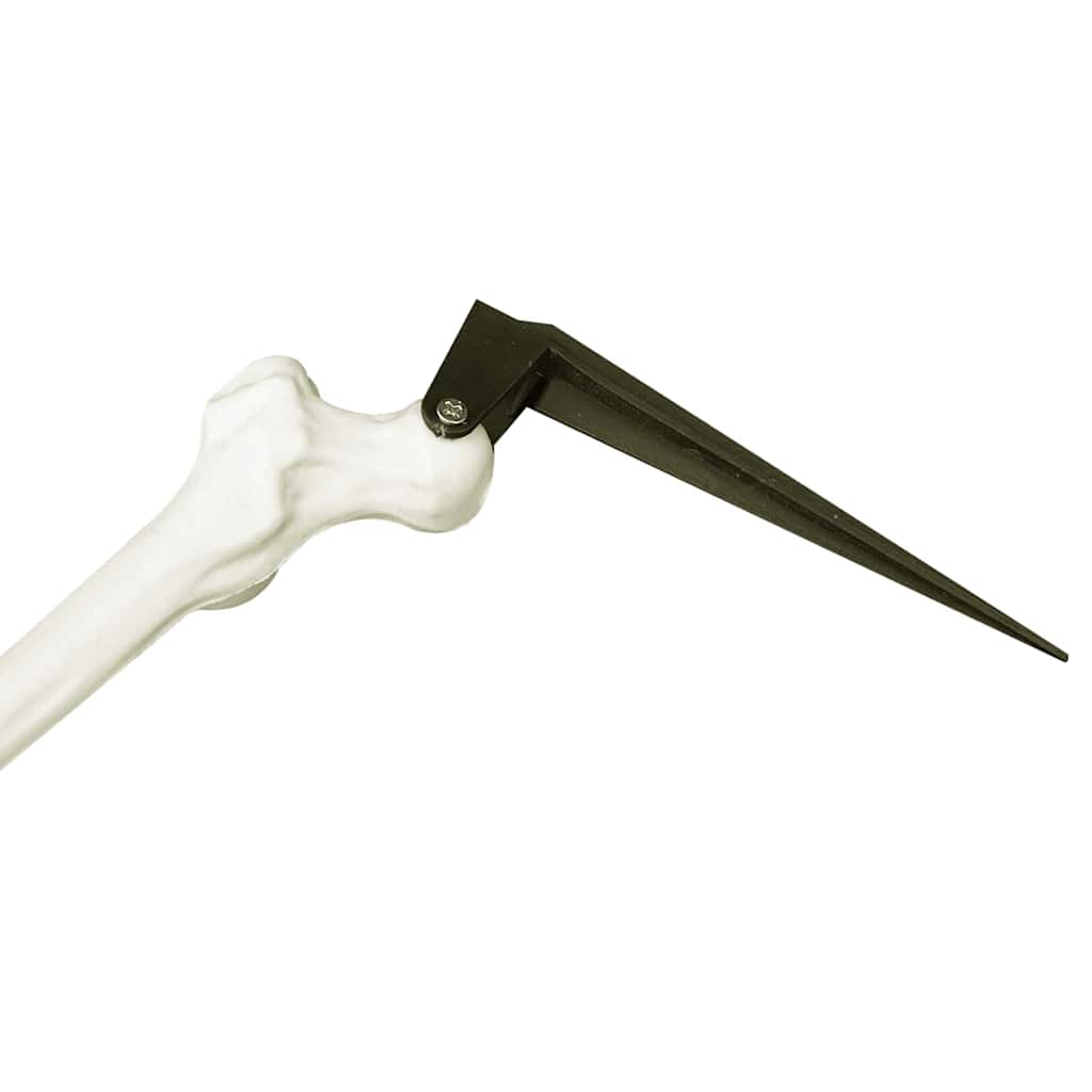 vidaXL Halloween Skeleton with Ground Spikes White 45.5 x 13 cm
