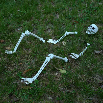 vidaXL Halloween Skeleton with Ground Spikes White 45.5 x 13 cm