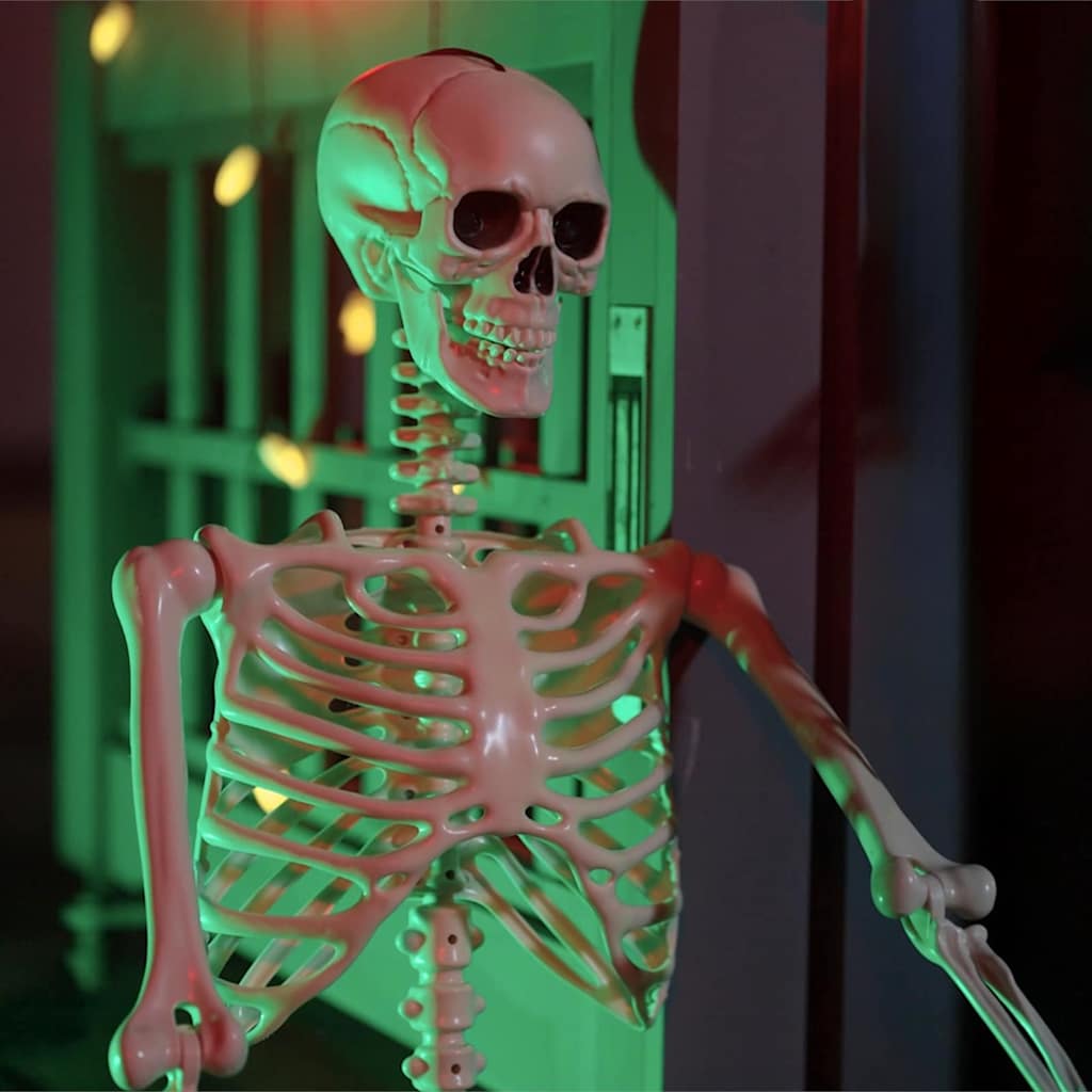 vidaXL Halloween Skeleton 2 pcs White 85 cm Polypropylene