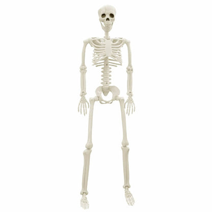 vidaXL Halloween Skeleton 2 pcs White 85 cm Polypropylene