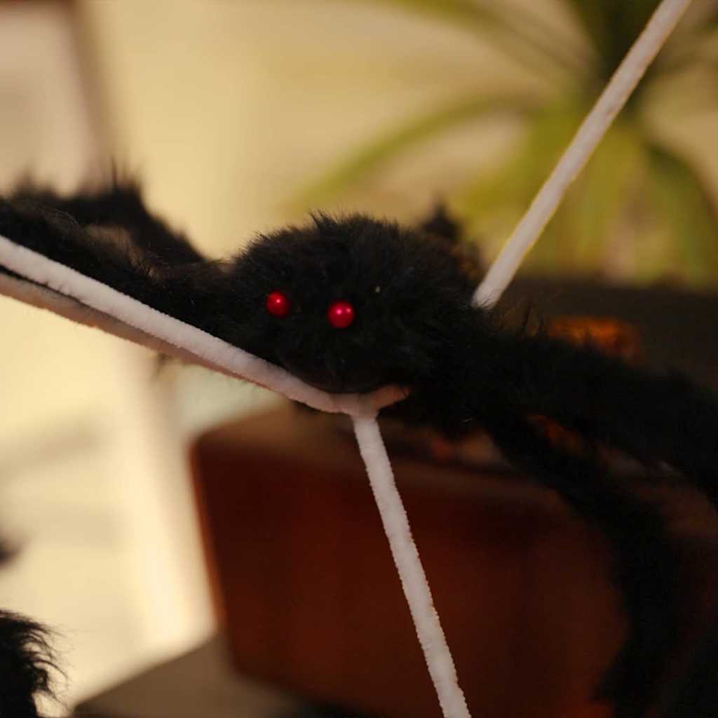 vidaXL Halloween Spider Decoration with Webs 4 pcs Black and white - 150 cm