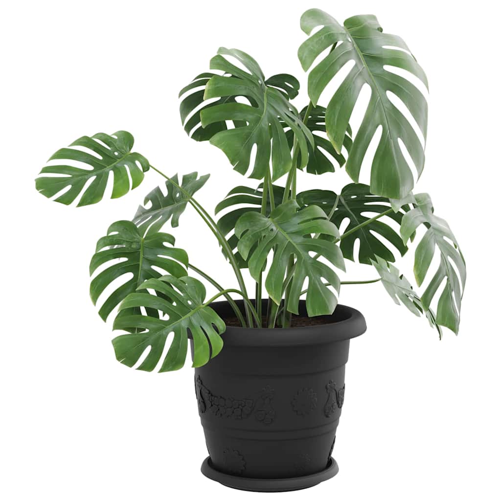 vidaXL Round Flower Tray 6 pcs Black Ø 21.5 x 2.5 cm Plastic
