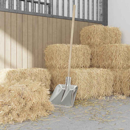 vidaXL Shovel Head 4 pcs Silver 45 x 38 cm Aluminum