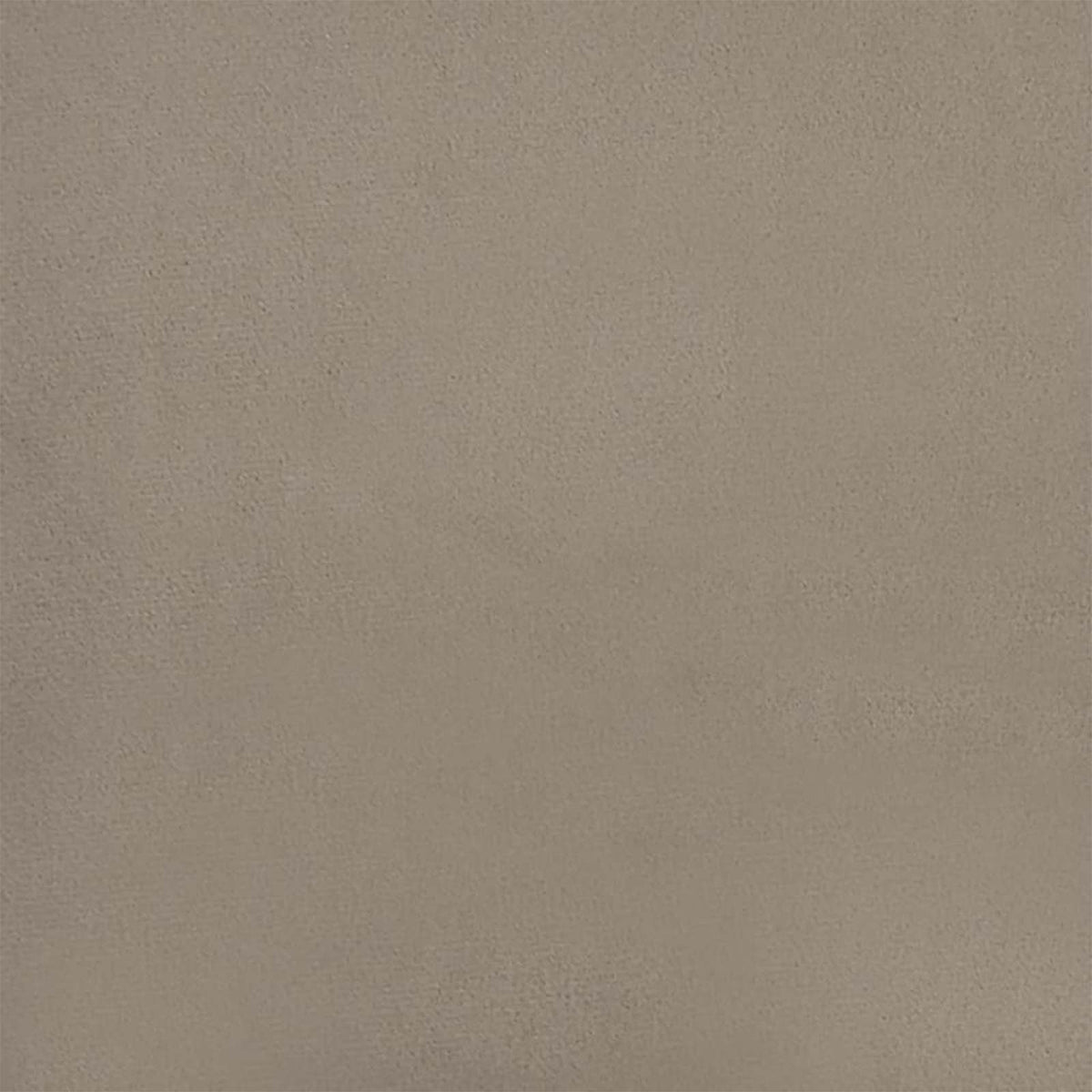 vidaXL Dining Chair 2 pcs Velvet 55 x 59.5 x 77 cm Light Grey