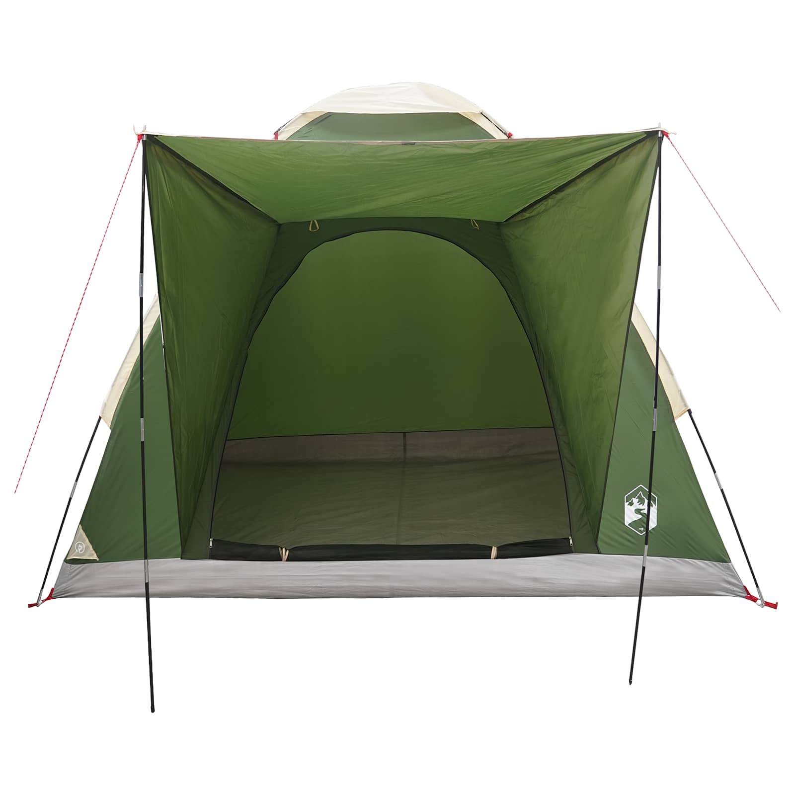vidaXL Camping Tent 2-Person Green Polyester and Steel